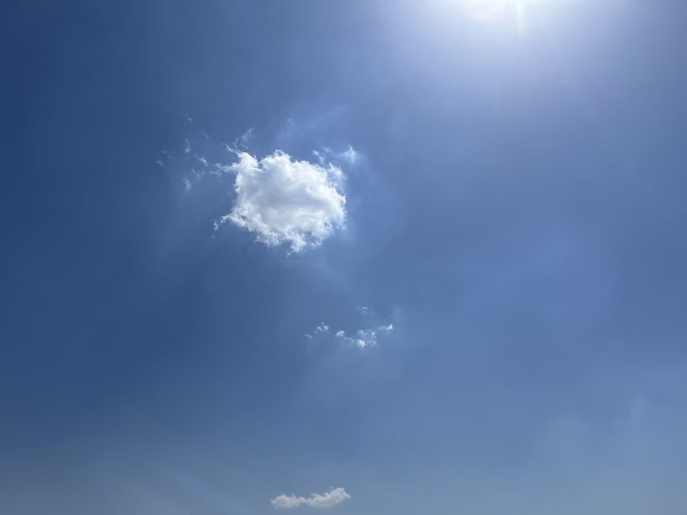 forecast_splash.jpeg