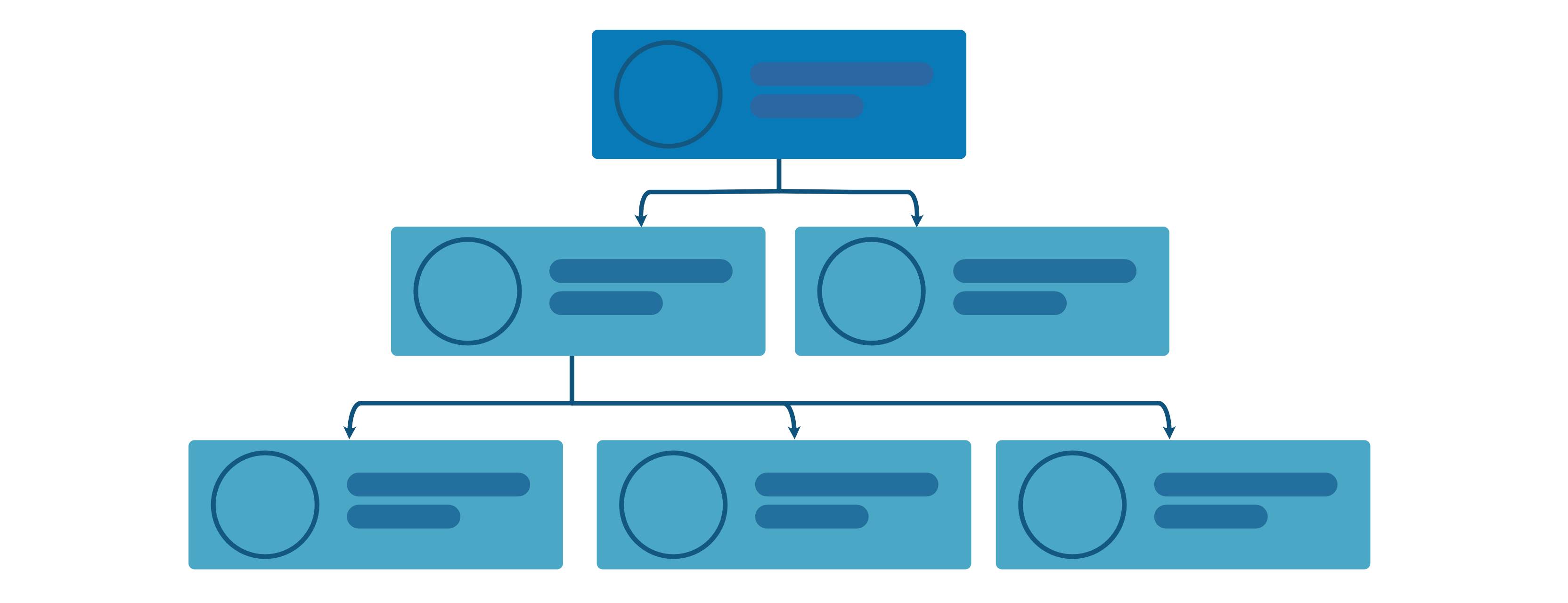 Data Organization Structure